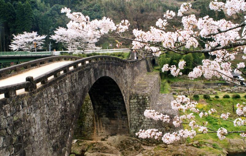 桜と霊台橋